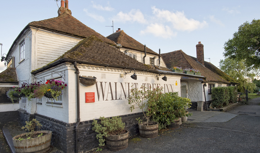 the-walnut-tree-aldington